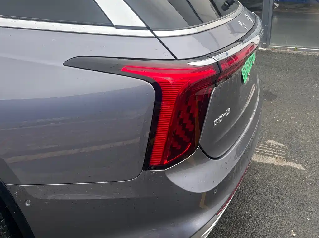 Hongqi Hongqi E-HS9 - фото 6