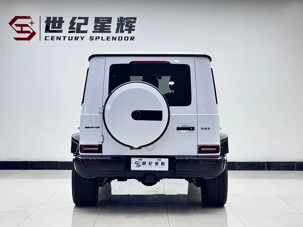 MERCEDES-BENZ G CLASS AMG