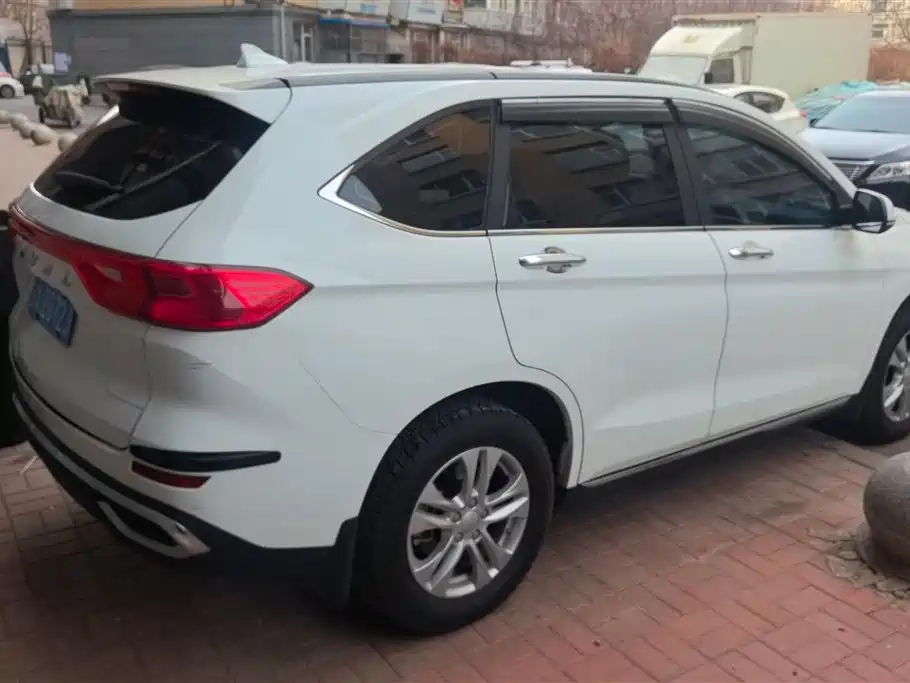 HAVAL M6