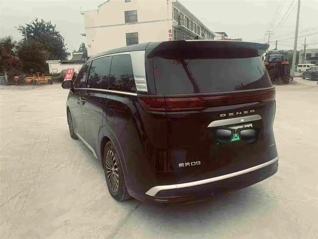Denza Denza D9 — миниатюра 7