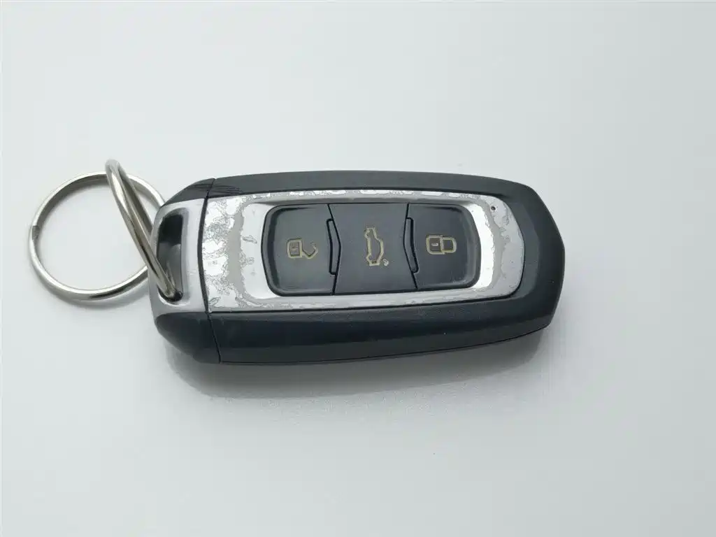 GEELY AUTOMOBILE BORUI