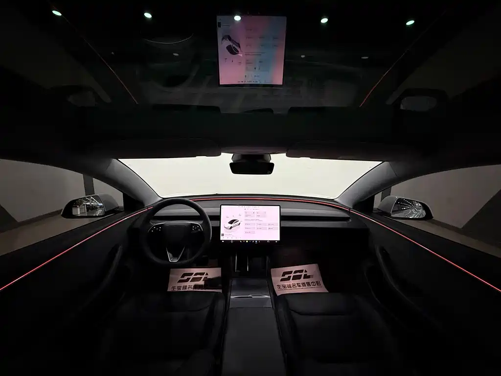 Tesla Model 3 — миниатюра 27