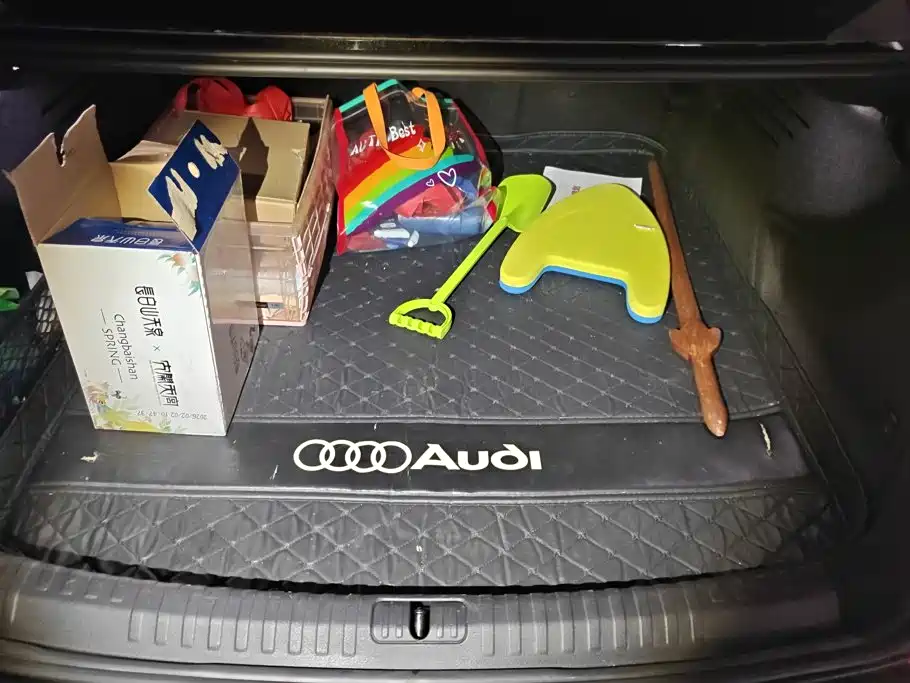Audi A6L — миниатюра 4