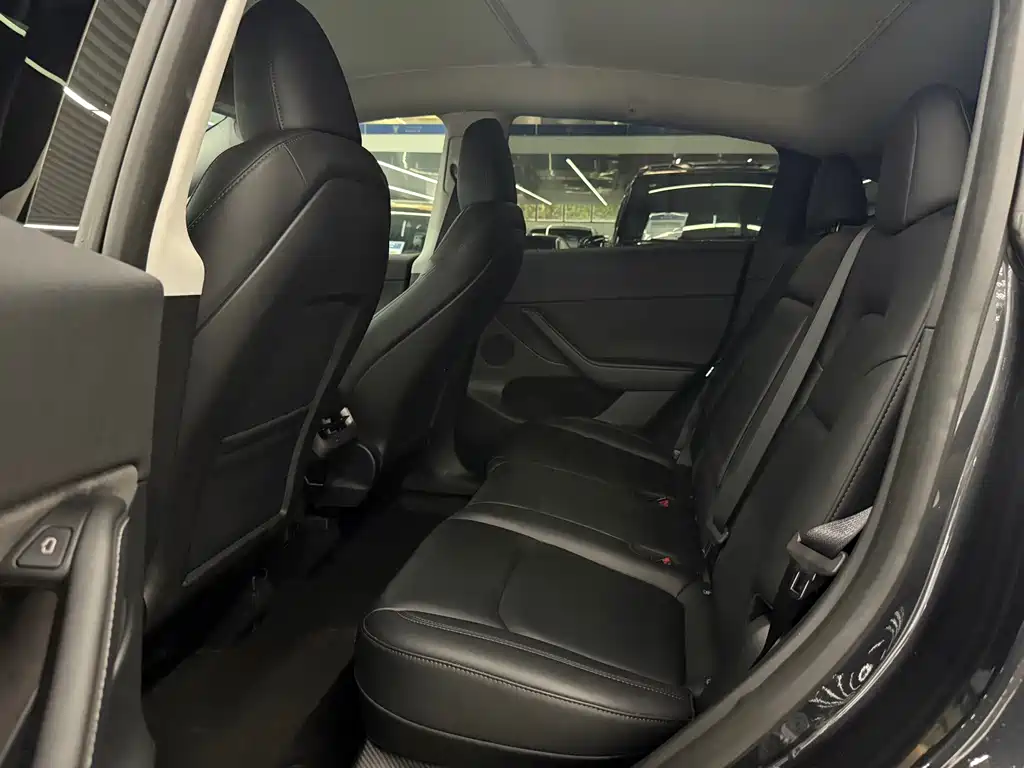 Tesla Model Y — миниатюра 6