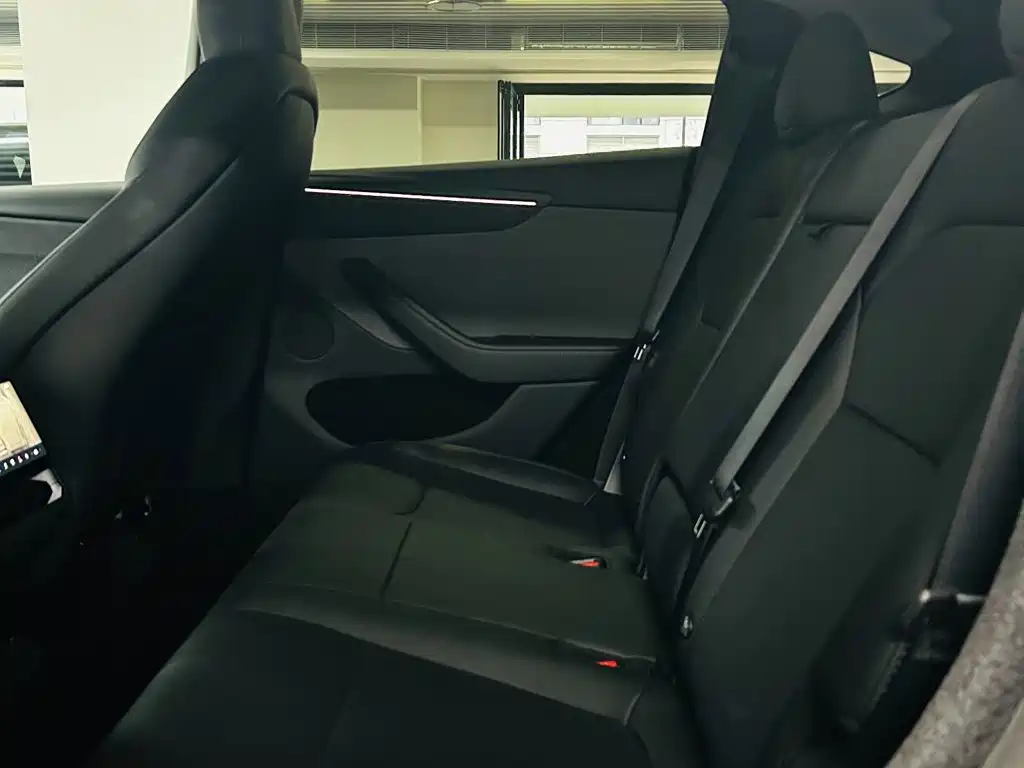Tesla Model Y — миниатюра 9