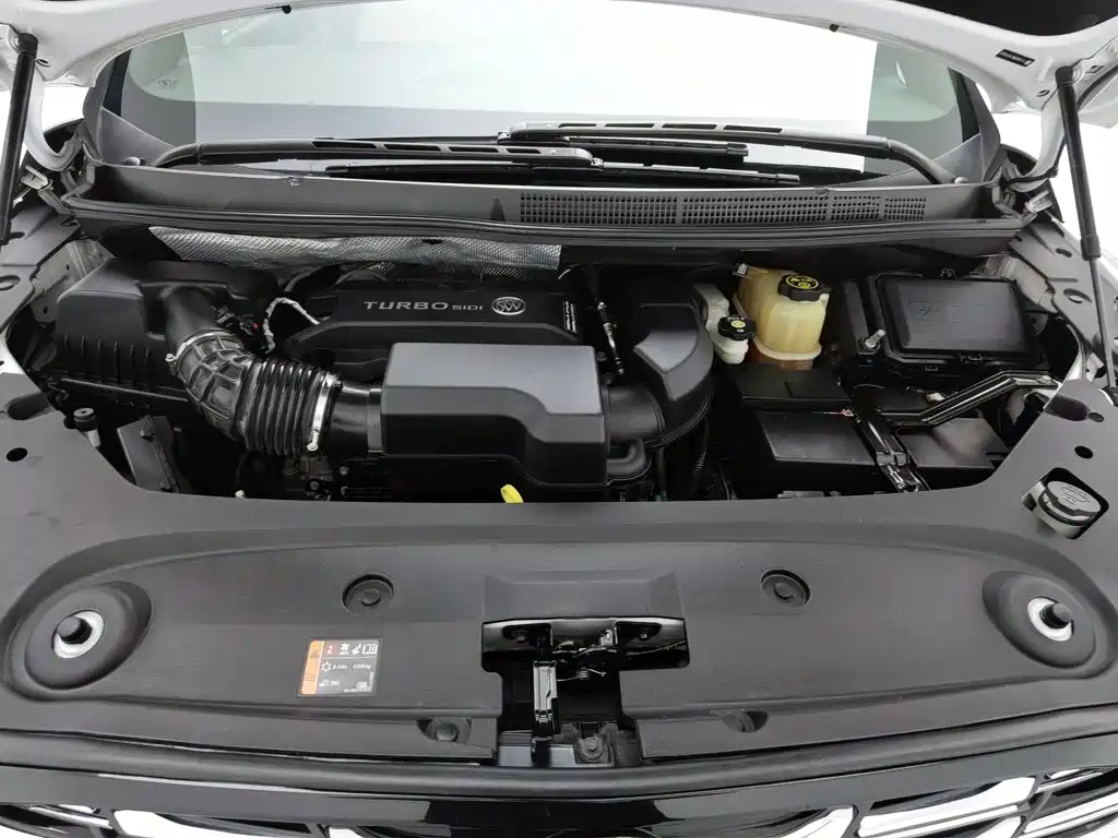 Buick GL8 — миниатюра 6