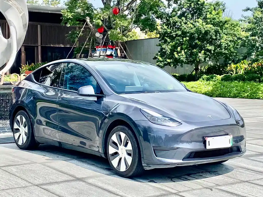 Tesla Model Y — миниатюра 3