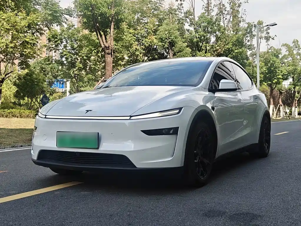 Tesla Model Y L — миниатюра 2