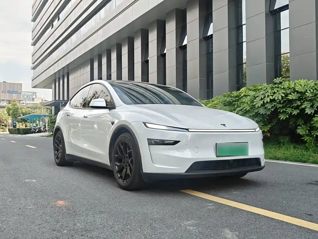 Tesla Model Y L — миниатюра 3