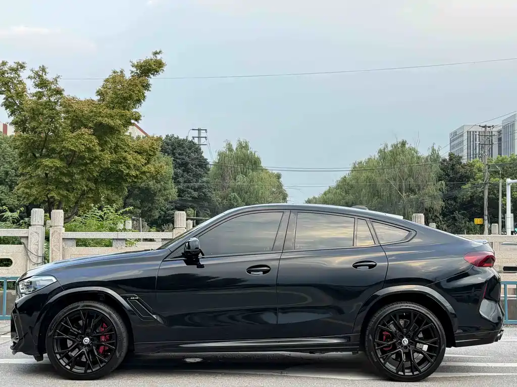 BMW X6 M — миниатюра 3