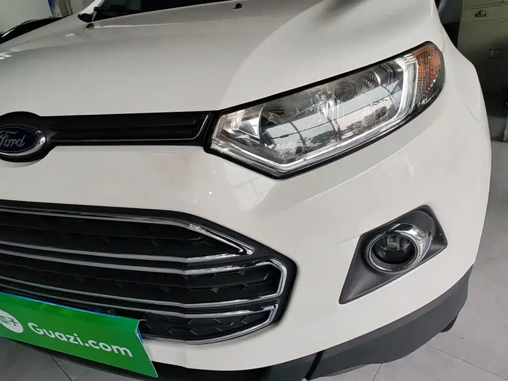 Ford Ecosport — миниатюра 24
