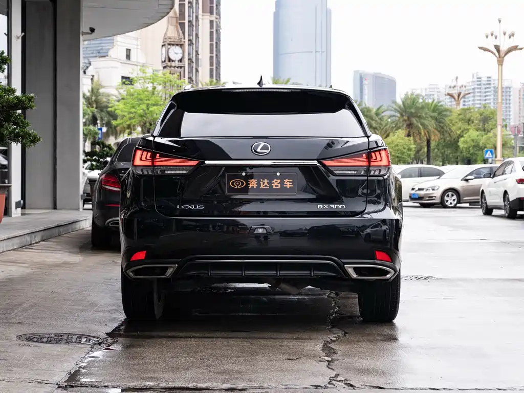 Lexus RX 2020 300 F SPORT VI
