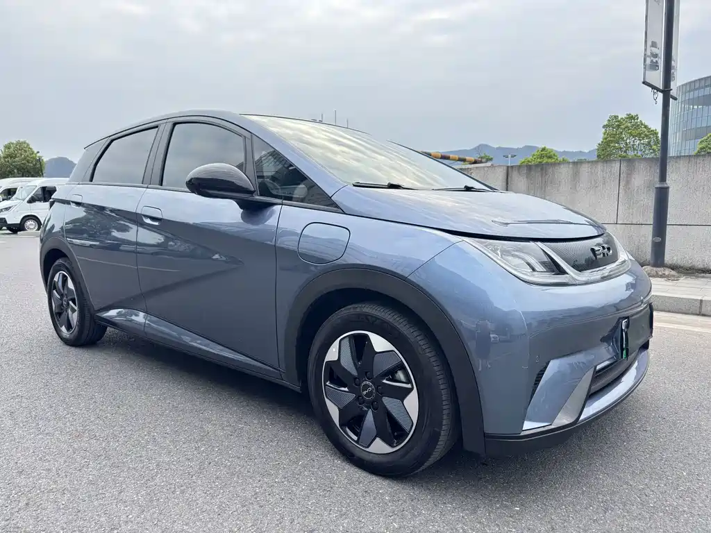 BYD Dolphin — миниатюра 3