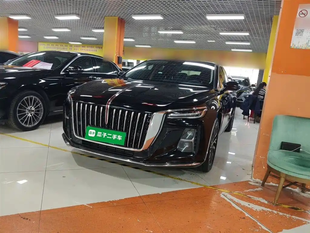 Hongqi Hongqi H5 2024