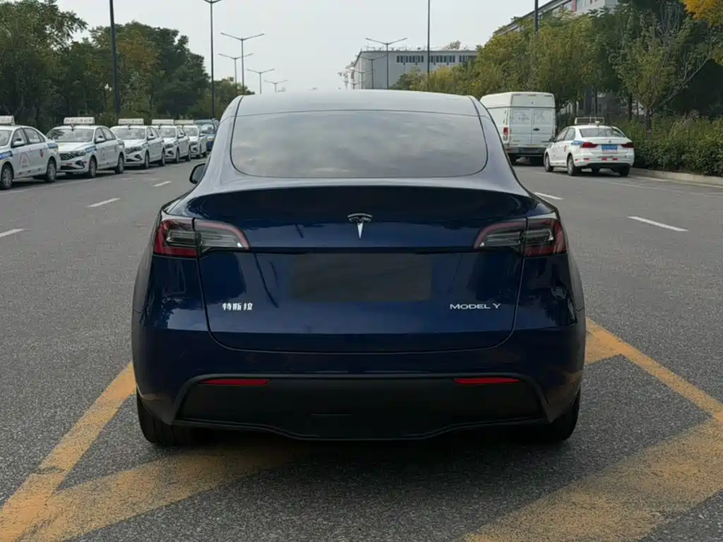 Tesla Model Y — миниатюра 11