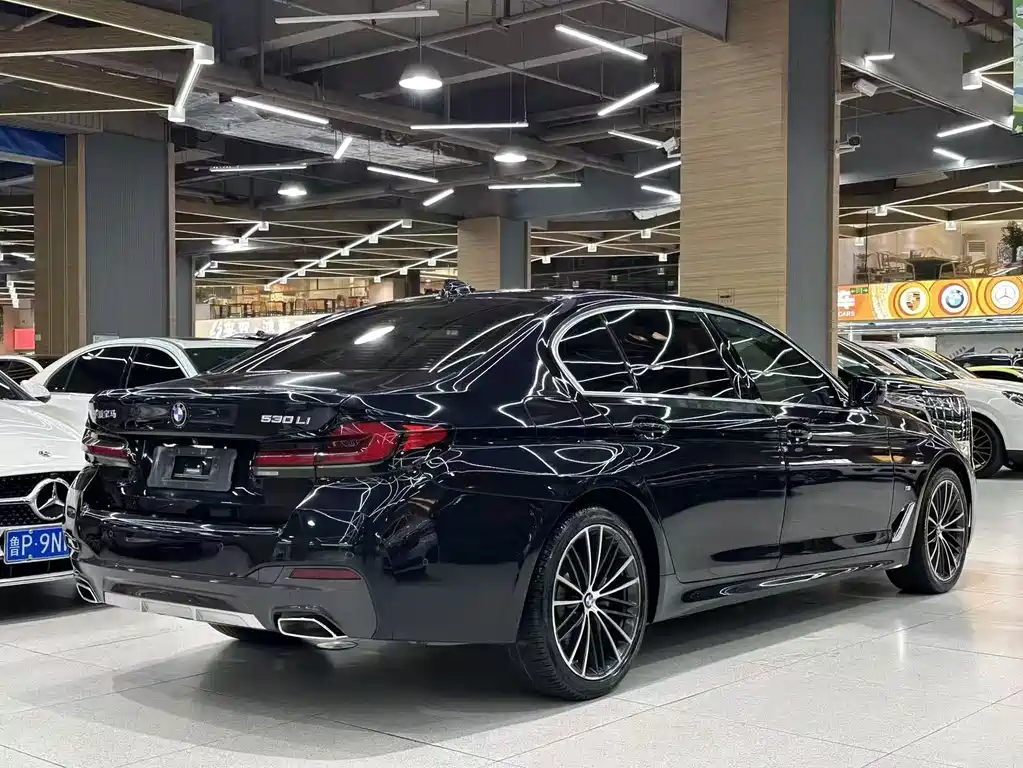 BMW 5 Series — миниатюра 5