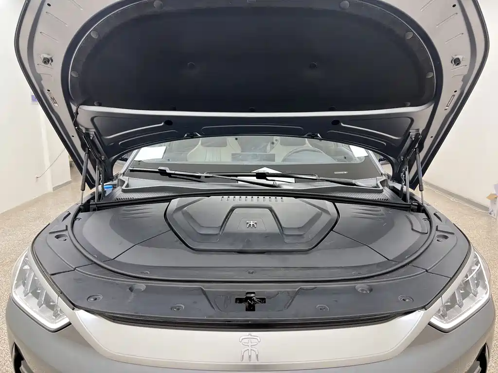 BYD PLUS New Energy — миниатюра 12