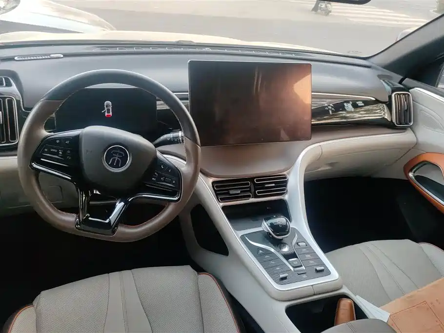 BYD SONGJIANG NEW ENERGY