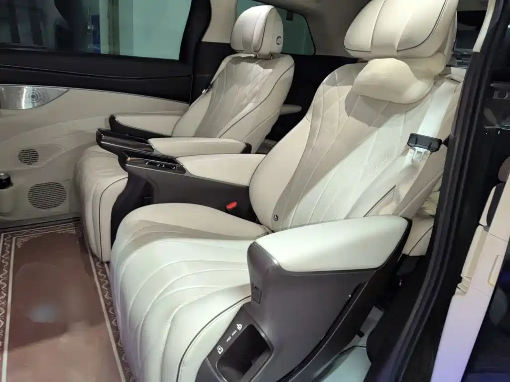 Denza Denza D9 — миниатюра 13