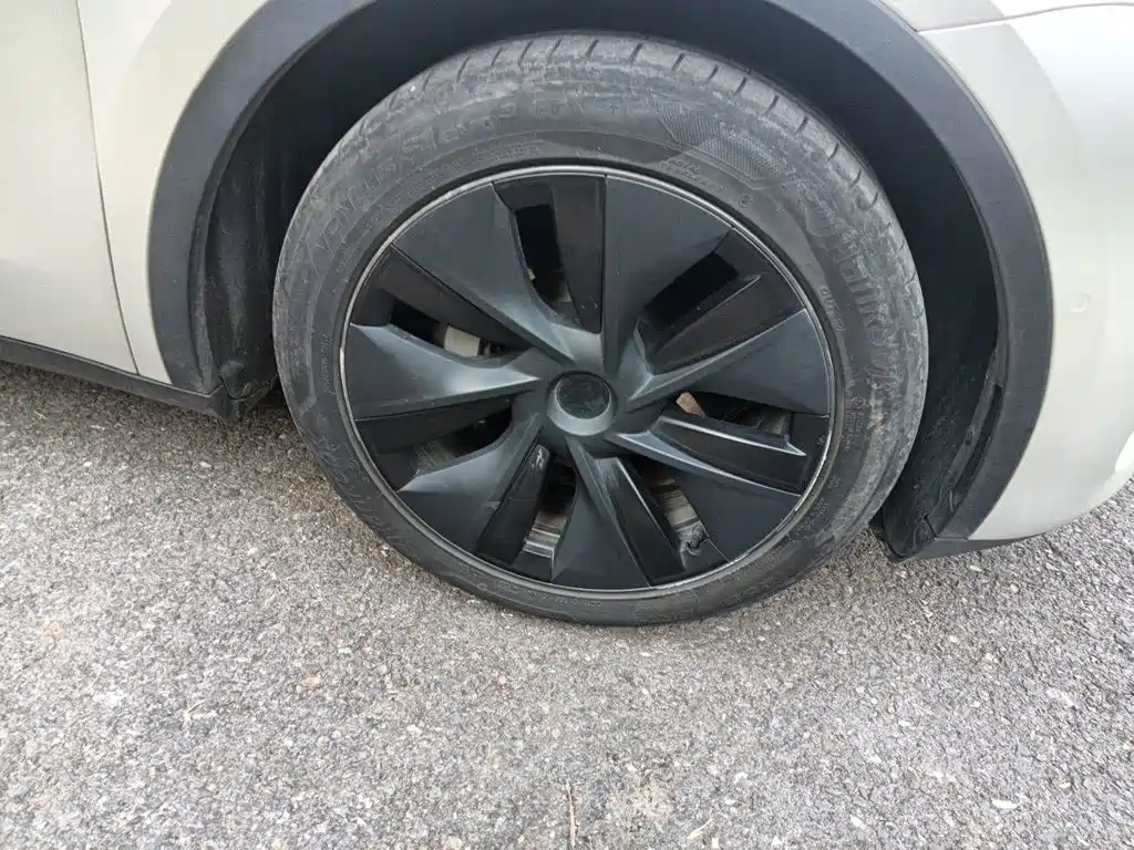 Tesla Model Y — миниатюра 24