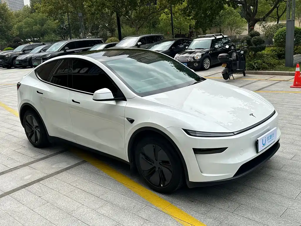Tesla Model Y — миниатюра 2