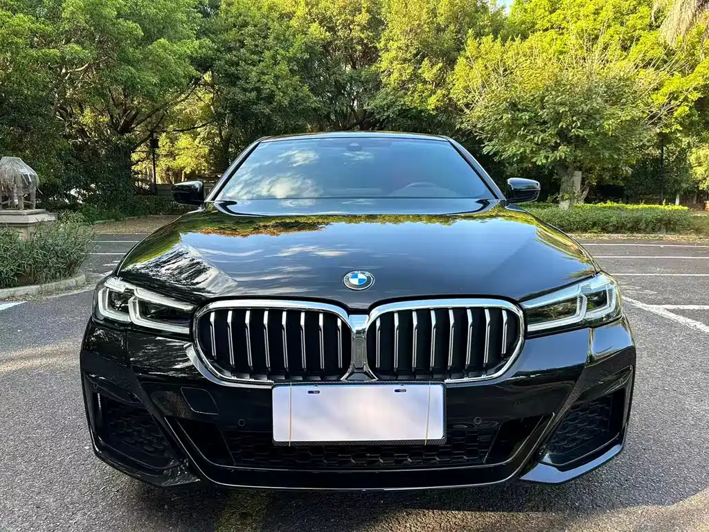 BMW 5 Series — миниатюра 2