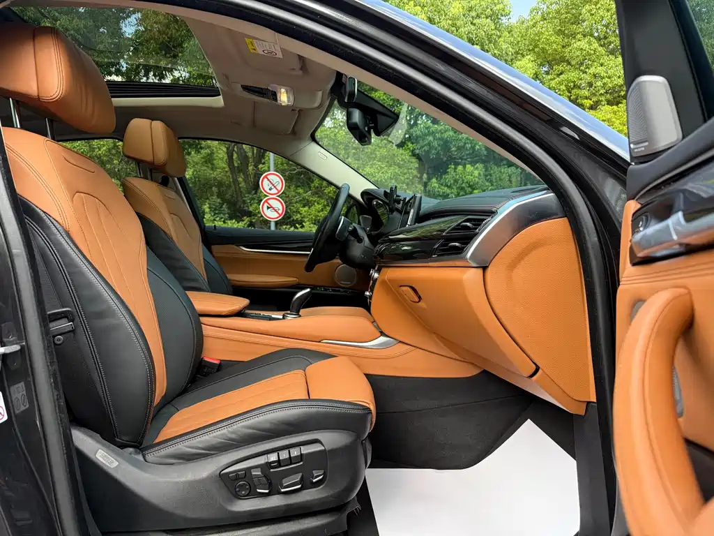 BMW X6 — миниатюра 19