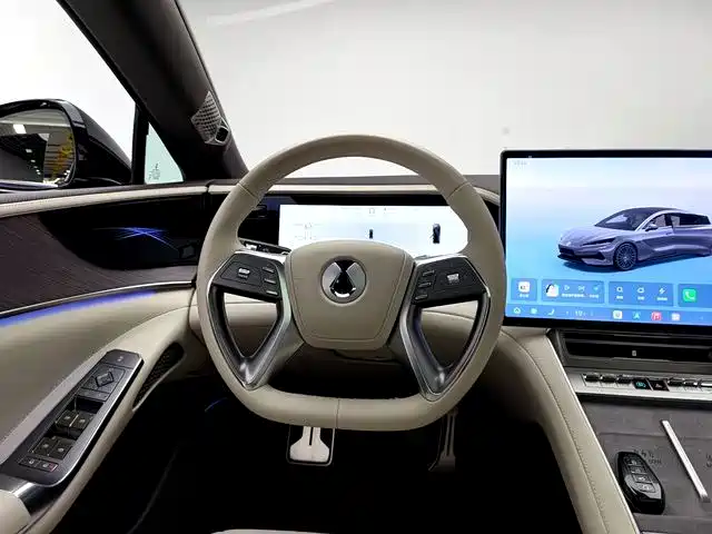 Denza Denza Z9 — миниатюра 7