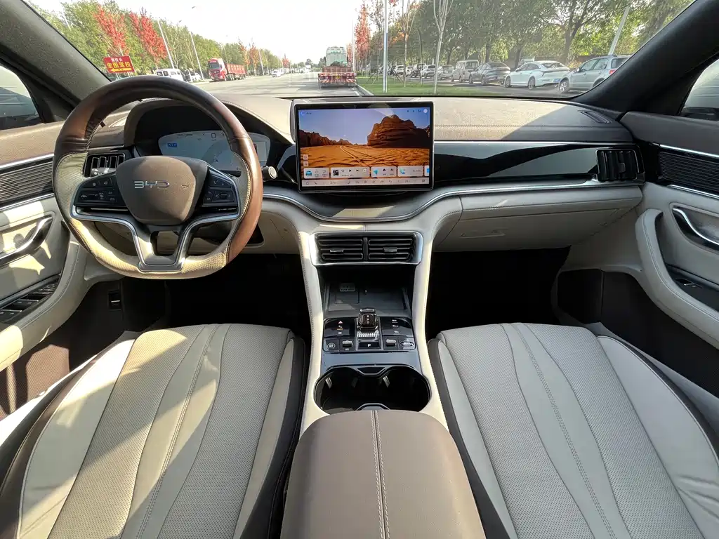 BYD PLUS New Energy — миниатюра 8