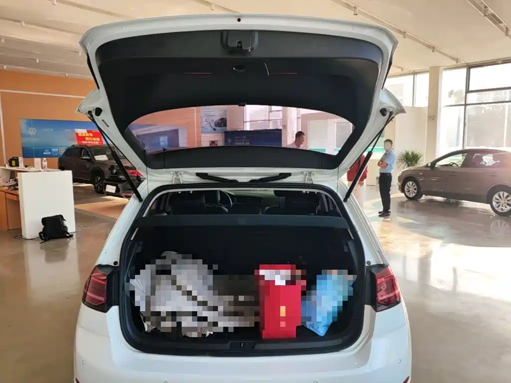 Volkswagen Golf EV — миниатюра 19
