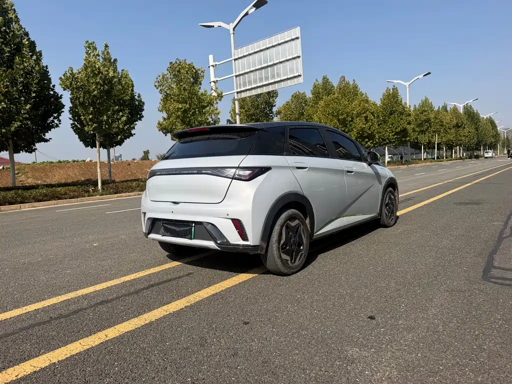 BYD Dolphin — миниатюра 4