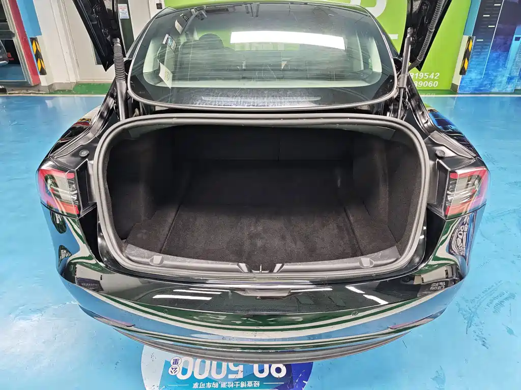 Tesla Model 3 — миниатюра 15