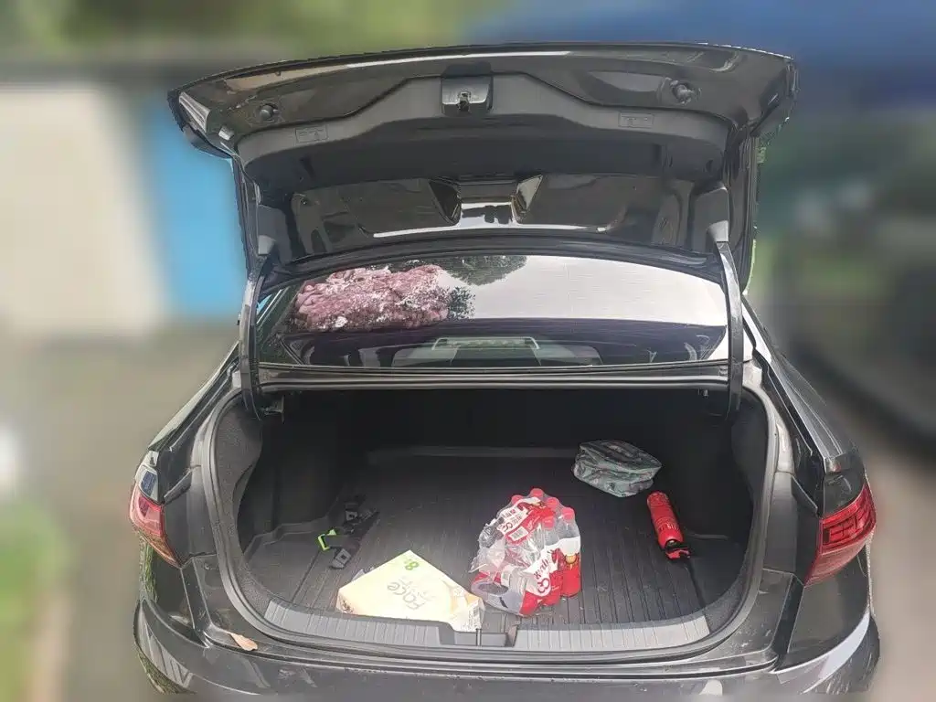 Volkswagen Sagitar — миниатюра 10