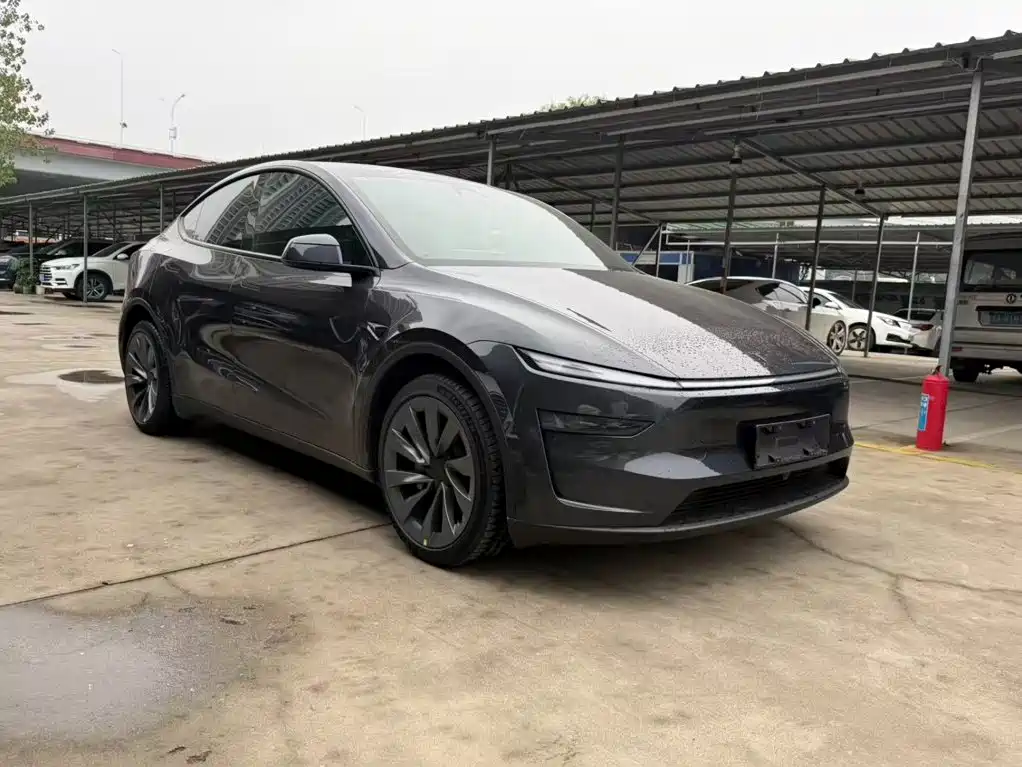 Tesla Model Y — миниатюра 3