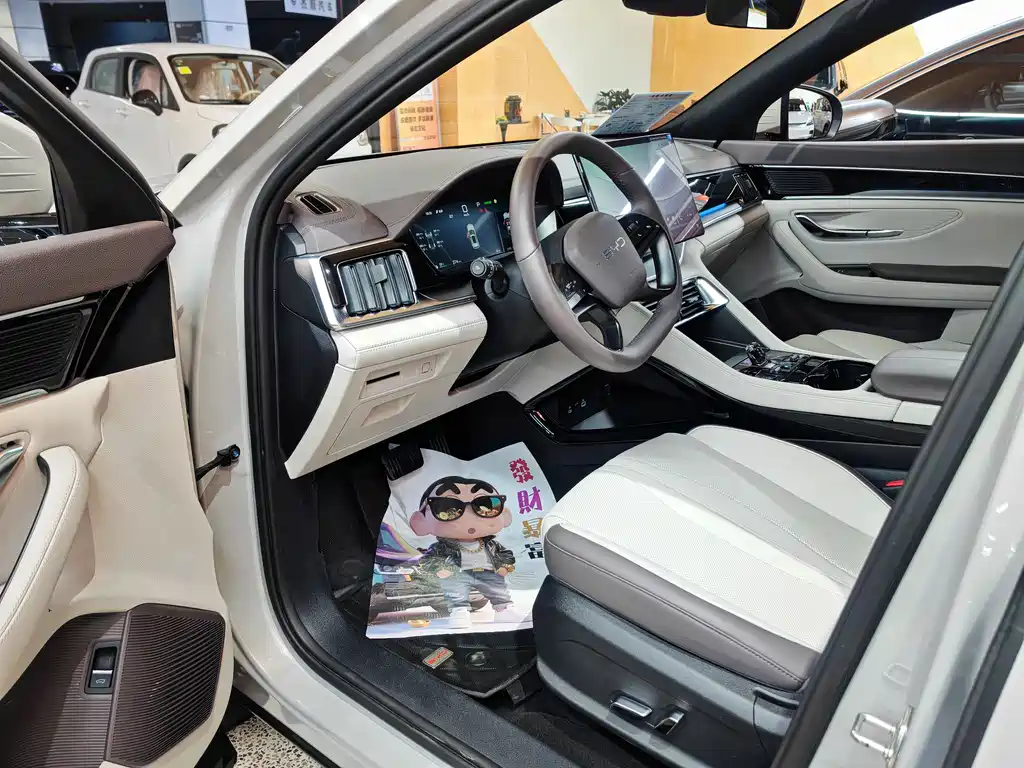 BYD SONGJIANG NEW ENERGY