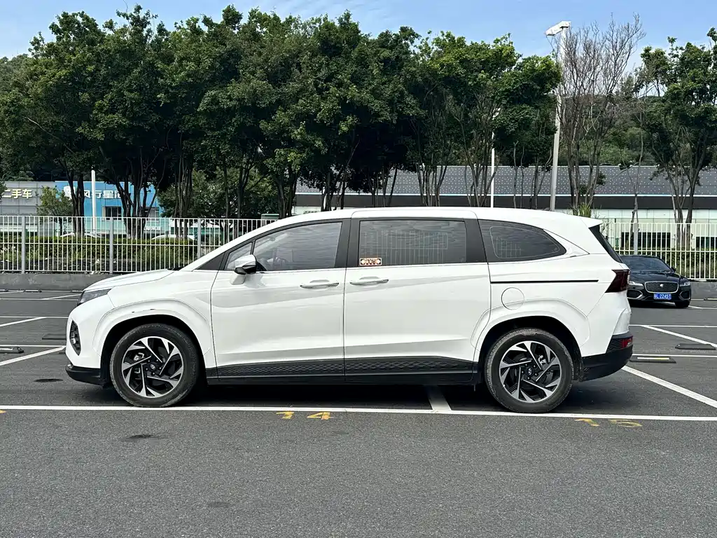 Hyundai Custo — миниатюра 3