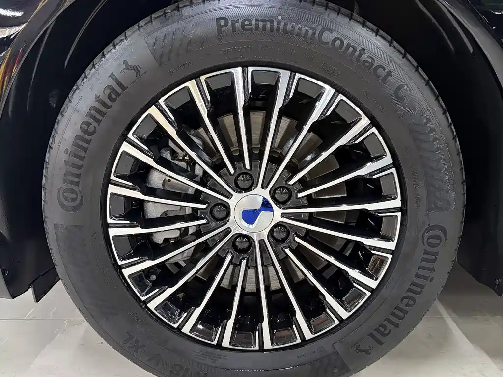 Denza Denza D9 — миниатюра 11