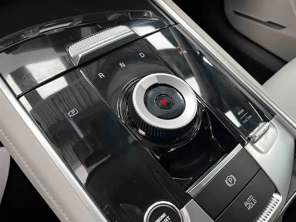 KIA LION PLATINUM EXPANDS THE WORLD