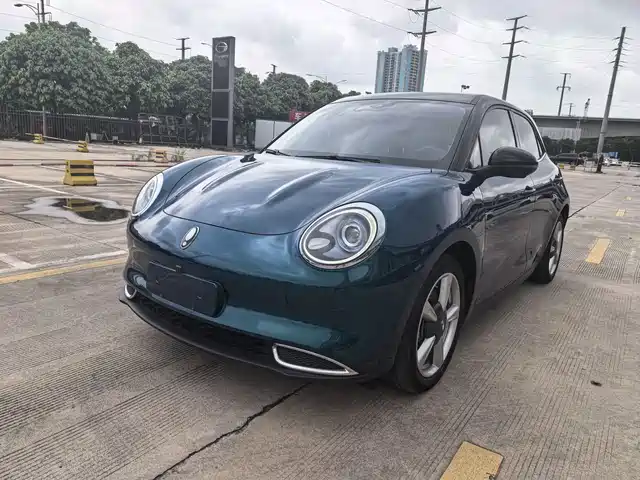 2021 Ora Good Cat