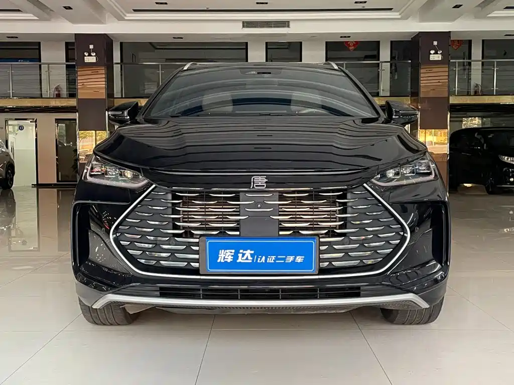 BYD Tang New Energy — миниатюра 2