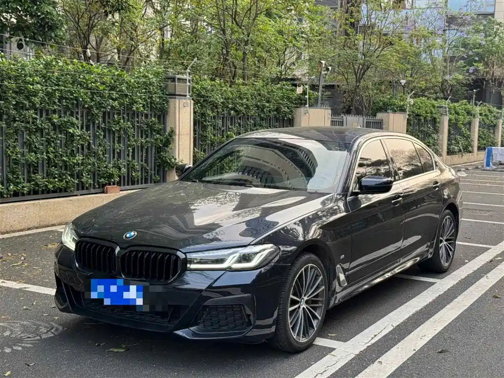 BMW 5 Series 2021