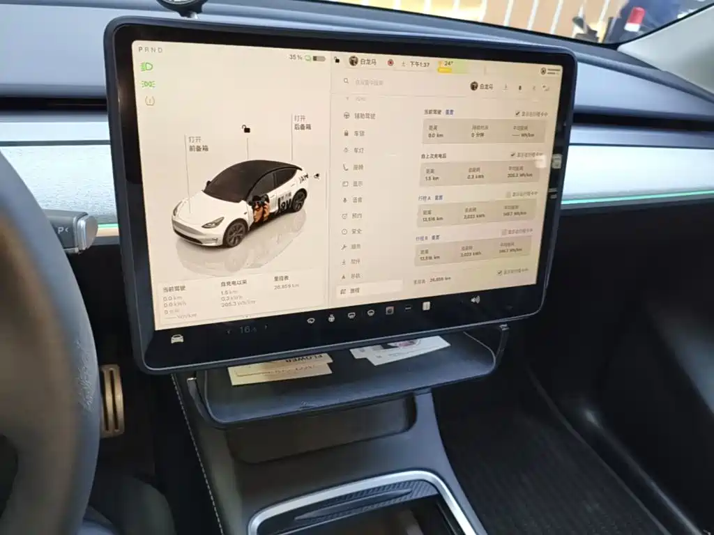 Tesla Model Y — миниатюра 13
