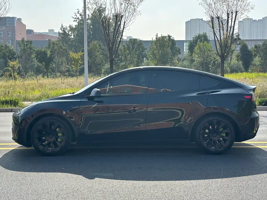 Tesla Model Y — миниатюра 7