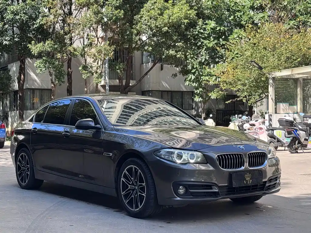 BMW 5 Series — миниатюра 3