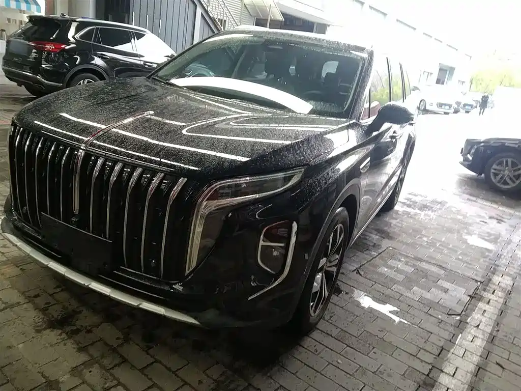 Hongqi Hongqi HS7 2024