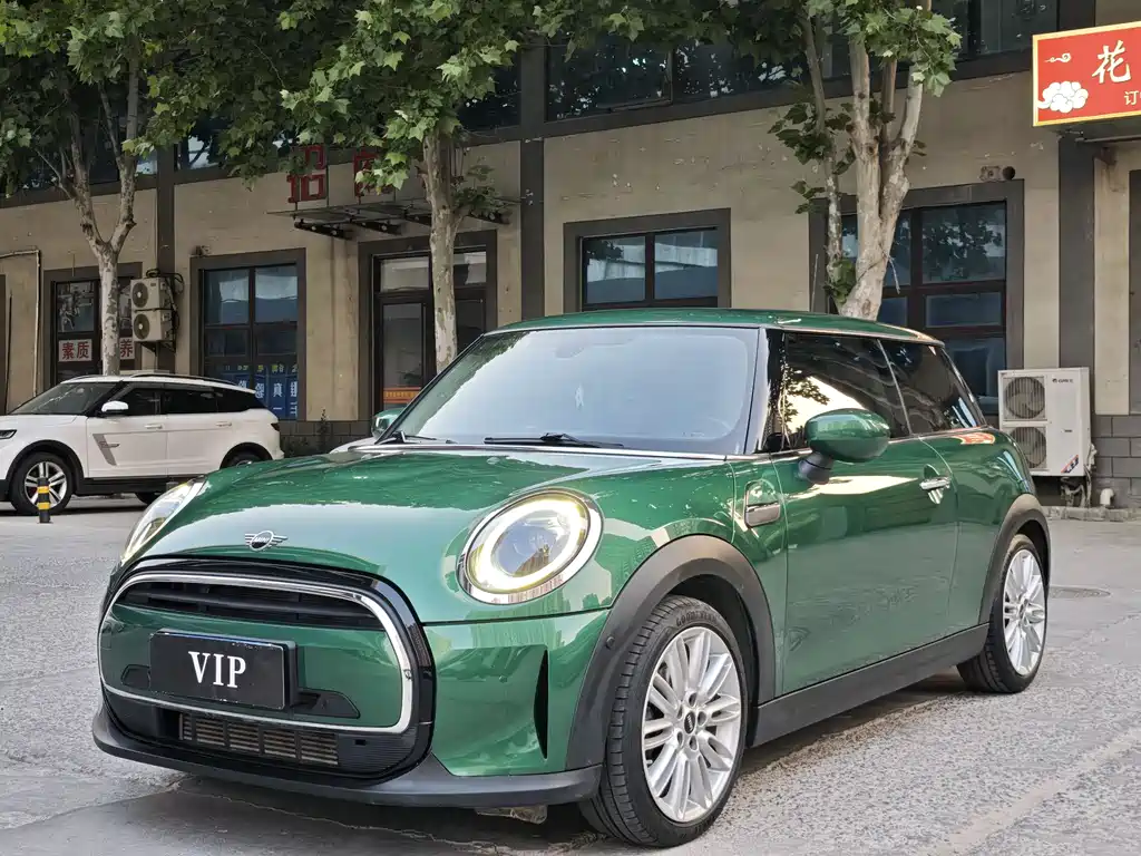 Mini Mini 2021