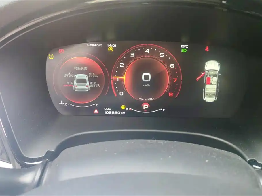 GEELY AUTOMOBILE BORUI