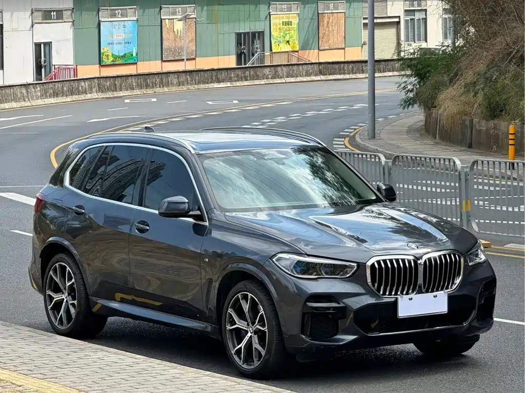 BMW X5 — миниатюра 3