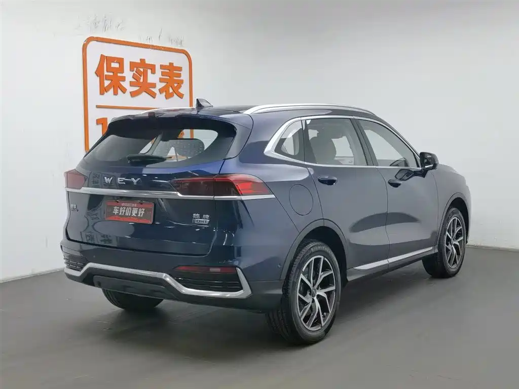 WEI PAI WEI BRAND LATTE DHT PHEV