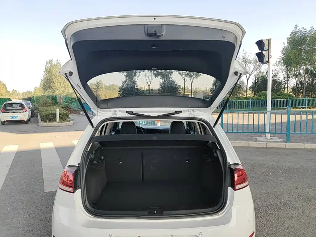 Volkswagen Golf — миниатюра 19